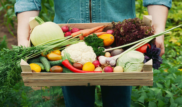Ophaal abonnement zelfoogsttuin (individueel kratje) € 19,50 per week
