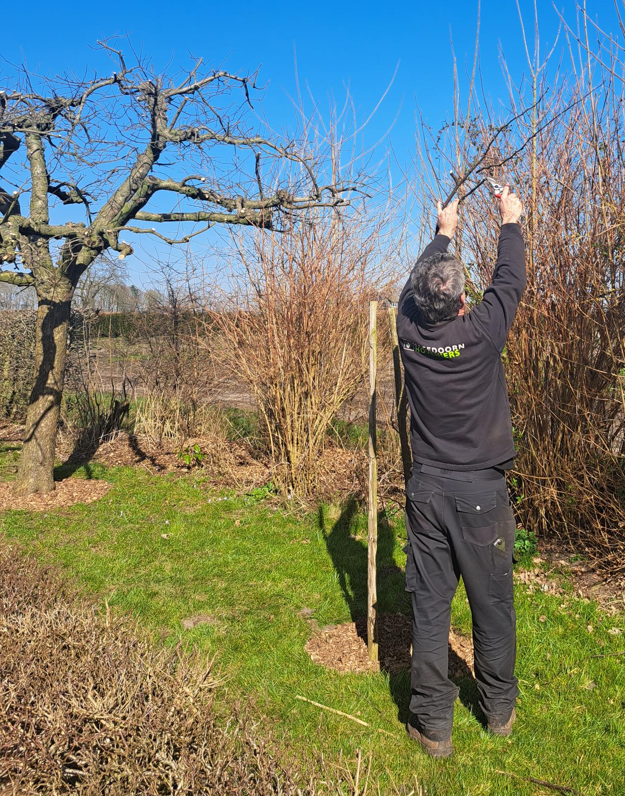 Snoeicursus fruitbomen