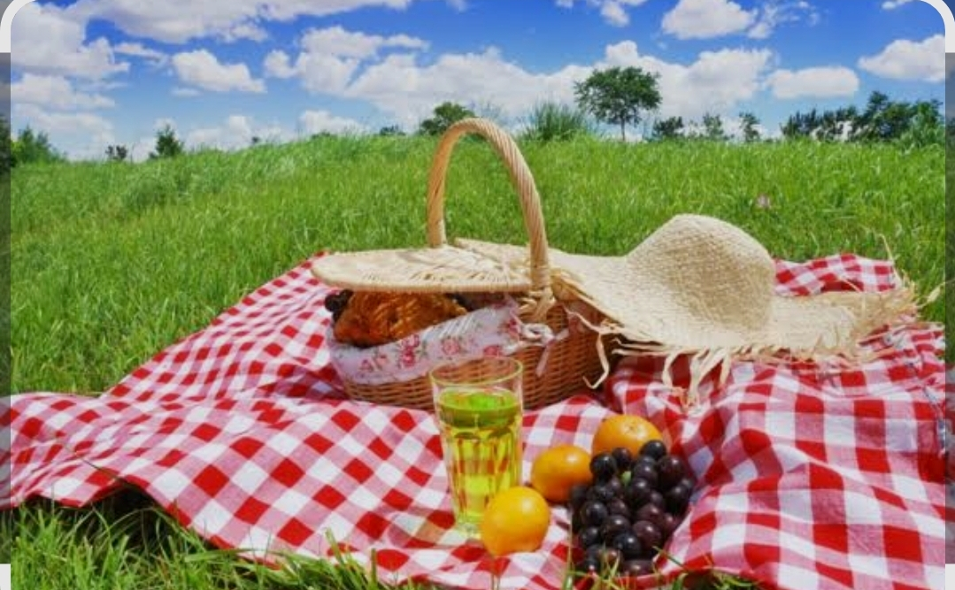 Vaderdag picknick