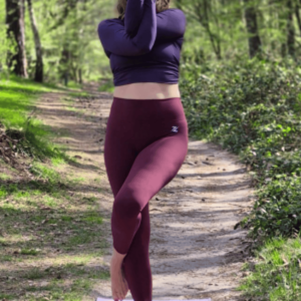 Hatha yoga sessie, inclusief lunch